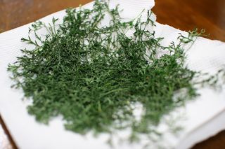 IMG_3729